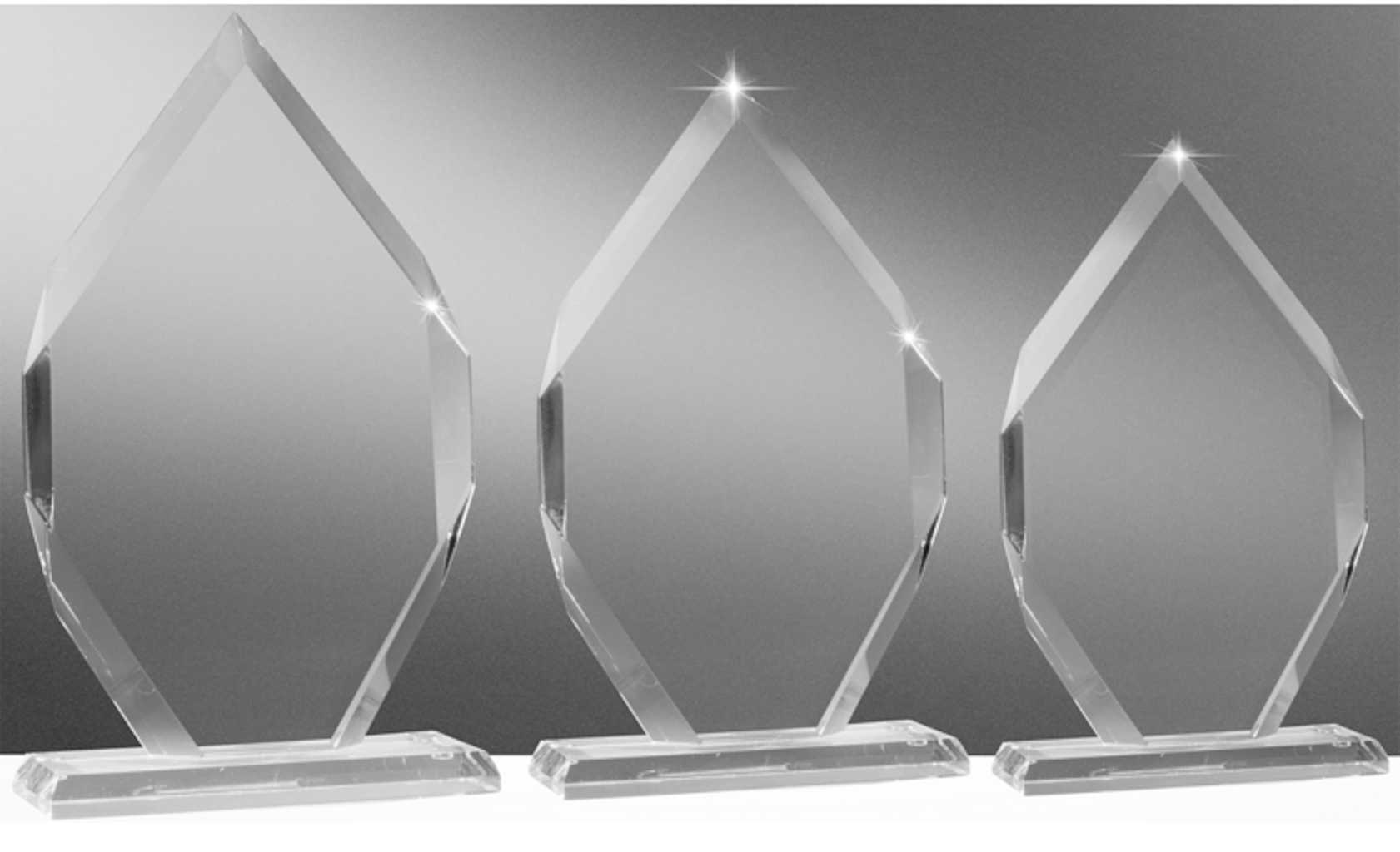 Bild von Crystal Arrow Award